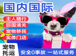 鄂伦春机场物流国际宠物托运 【国